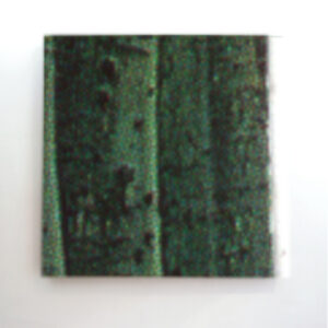 nature-abstracts-square-10-18x18
