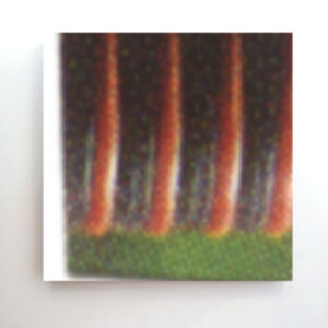 nature-abstracts-square-4-12x12