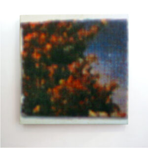 nature-abstracts-square-8-18x18