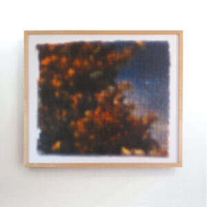 nature-abstracts-square-8-too-27x23